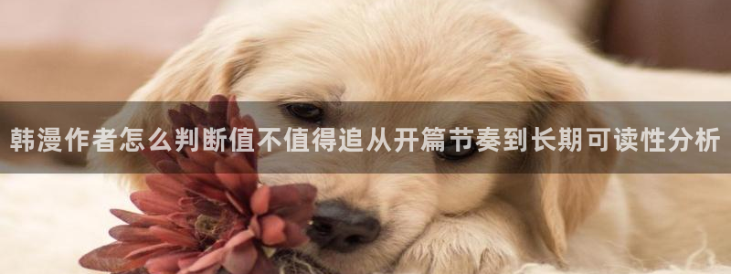 羞羞漫画免费网站：韩漫作者怎么判断值不值得追从开篇节奏到长期可读性分析