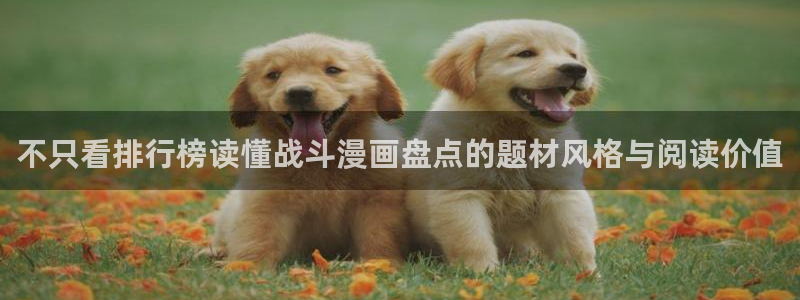 羞羞漫画最新网址入口：不只看排行榜读懂战斗漫画盘点的题材风格与阅读价值