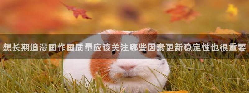 羞羞漫画完结作品：想长期追漫画作画质量应该关注哪些因素更新稳定性也很重要