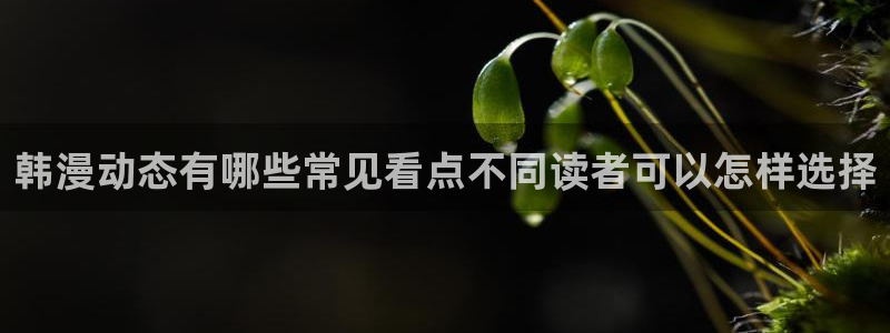 羞羞漫画入口：韩漫动态有哪些常见看点不同读者可以怎样选择